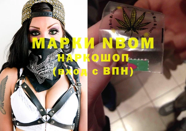 индика Надым