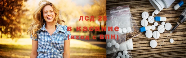 индика Надым