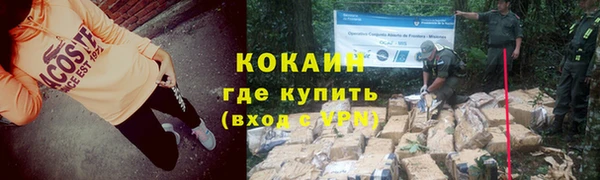 индика Надым