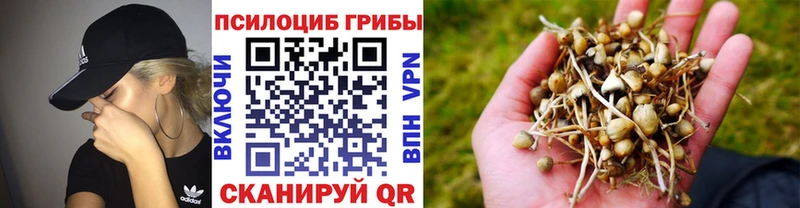 Галлюциногенные грибы GOLDEN TEACHER Павлово